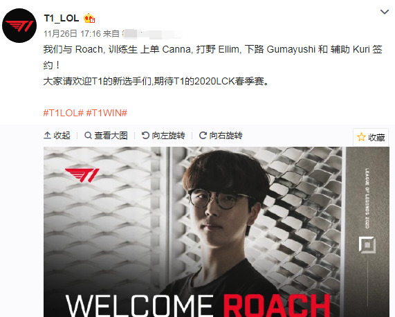 疑问已经成 疑问已经成