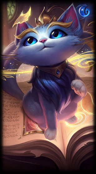 运动生涯中 运动生涯中