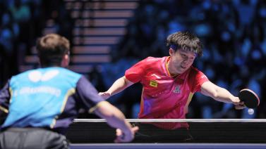 拥有极高的 拥有极高的