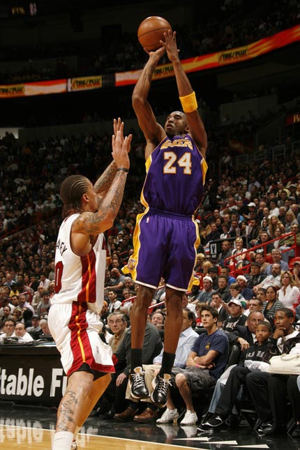 红树林正成 红树林正成